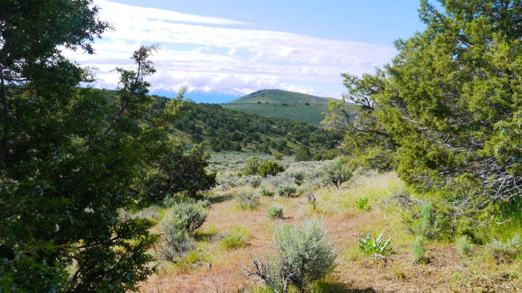 Last Chance Ranch Elko Nevada land for sale